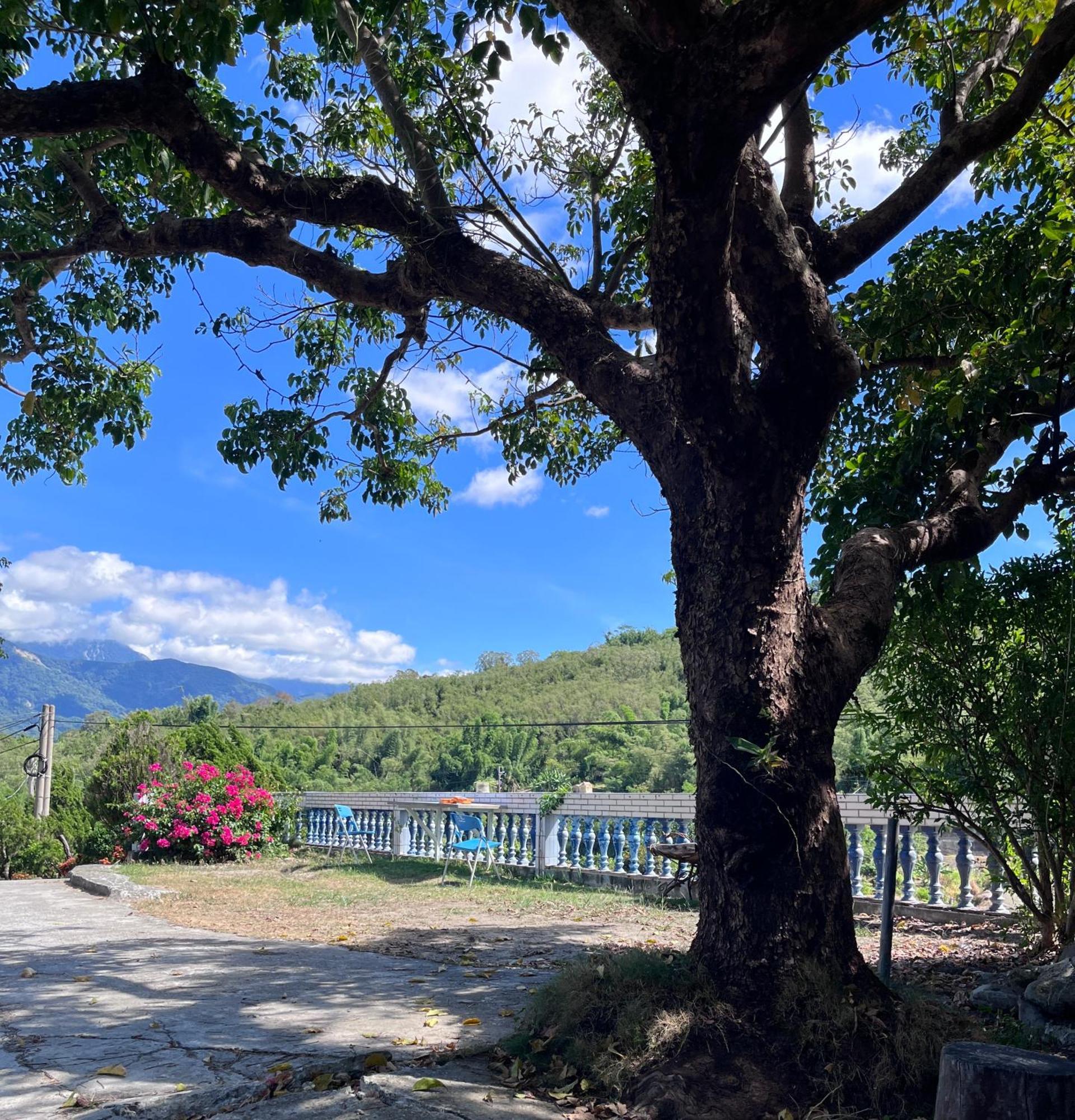 十畝田山莊會館 Chishang Exterior foto